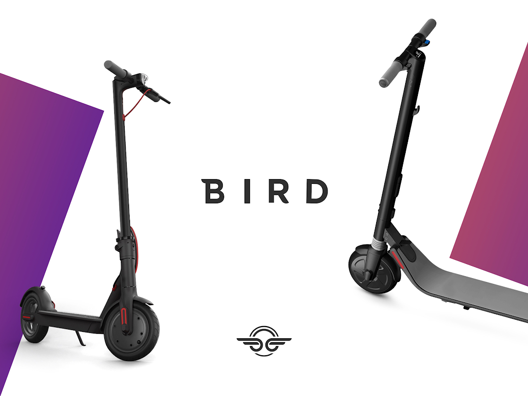 颠覆Bird的Challenger Brands设计